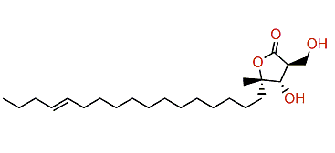 Amphiasterin B2